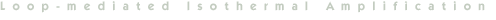 Loop-mediated Isothermal Amplification