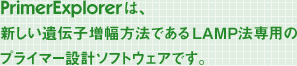 LAMP法専用のプライマー設計ソフトウェアです
