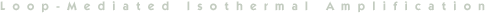 Loop-Mediated Isothermal Amplification