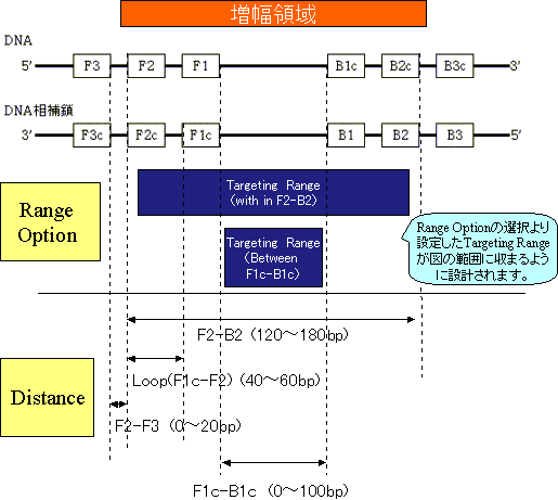 ターゲットレンジ